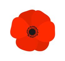 238,200+ Poppy Flower Stock Photos, Pictures & Royalty-Free Images - iStock